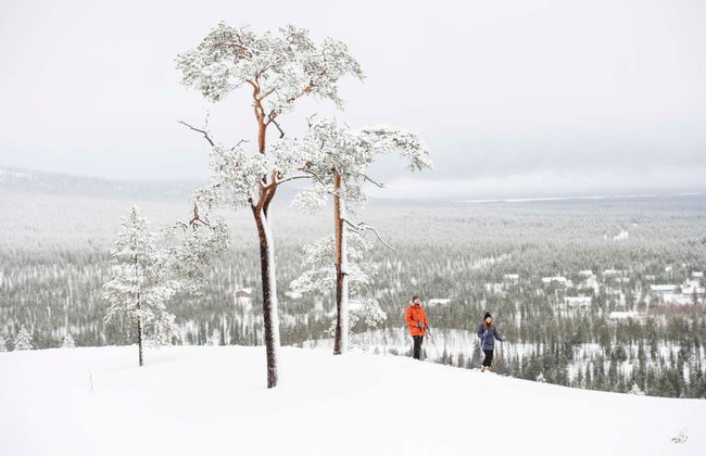 Esqui de travessia no Parque Nacional Pyhä-Luosto - Foto 2