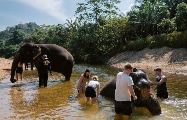Safári pelo Parque Nacional de Khao Sok - Foto 7