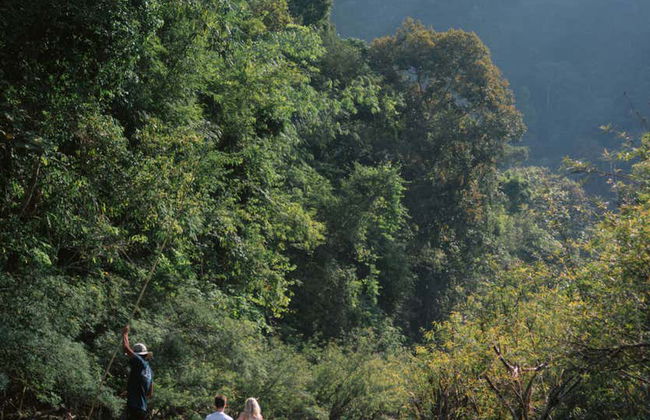 Safári pelo Parque Nacional de Khao Sok - Foto 9