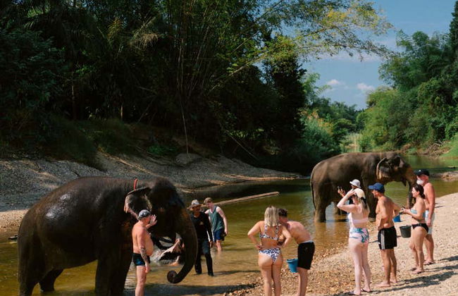 Safári pelo Parque Nacional de Khao Sok - Foto 13
