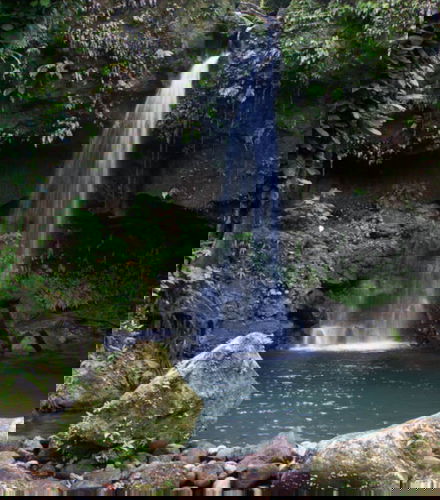 Foto de Excursión a la Piscina Esmeralda y las cascadas de Trafalgar