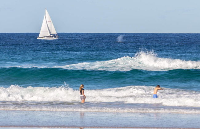 Double Island Point Tour - Foto 6