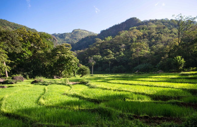 Knuckles Mountain Private Hiking Tour - Foto 3