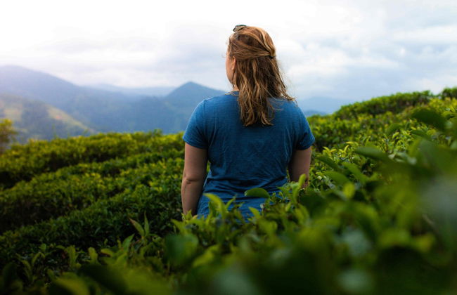 Knuckles Mountain Private Hiking Tour - Foto 1