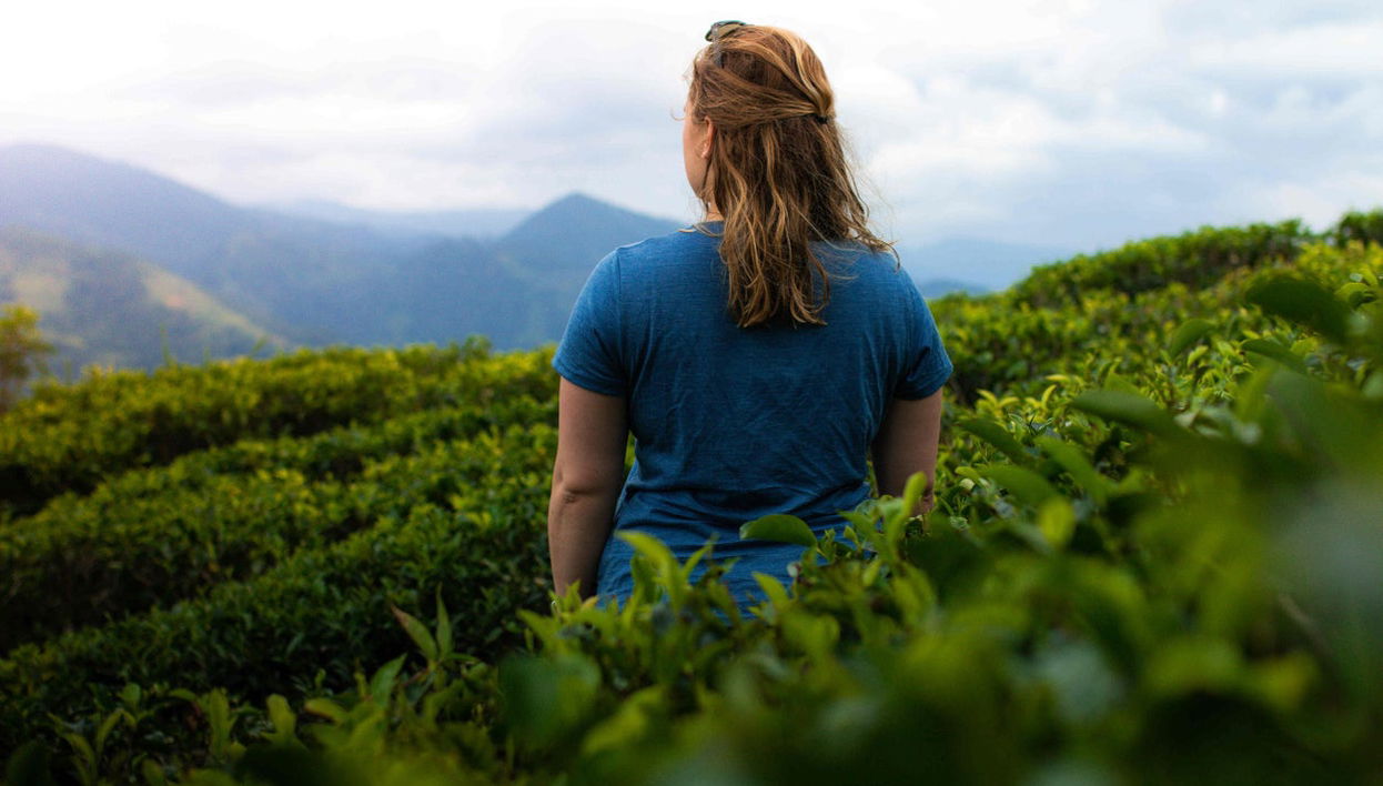 Knuckles Mountain Private Hiking Tour - Foto 1