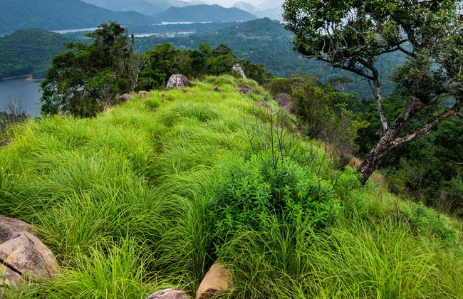 Ruta privada de trekking por la cordillera Knuckles - Foto 4