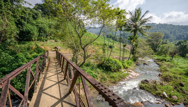 Knuckles Mountain Private Hiking Tour - Foto 5