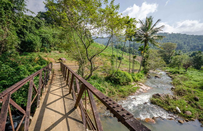 Knuckles Mountain Private Hiking Tour - Foto 5