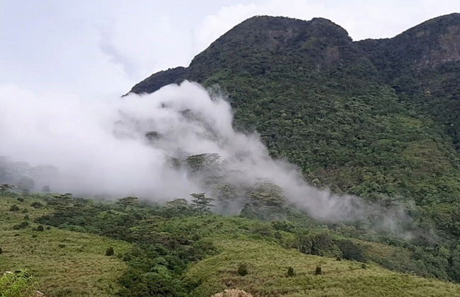 Ruta privada de trekking por la cordillera Knuckles - Foto 3