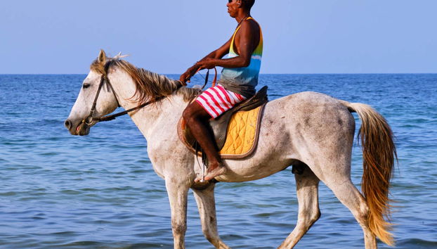 Paseo a caballo por la laguna de Djerba - Foto 2