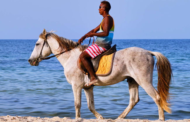 Horse Riding in Djerba Lagoon - Foto 2