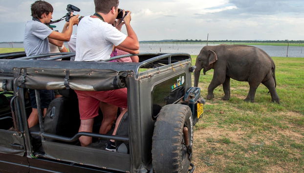 Kaudulla National Park Private Safari - Foto 3