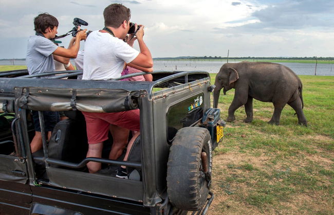 Kaudulla National Park Private Safari - Foto 3