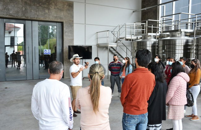Visite à la découverte du vin dans Tarija - Photo 4