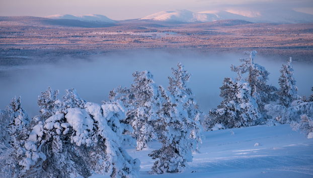 Snowmobile & Reindeer Sleigh Tour - Photo 4