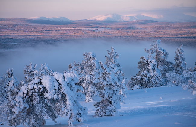 Levi Snowmobile Tour - Photo 7