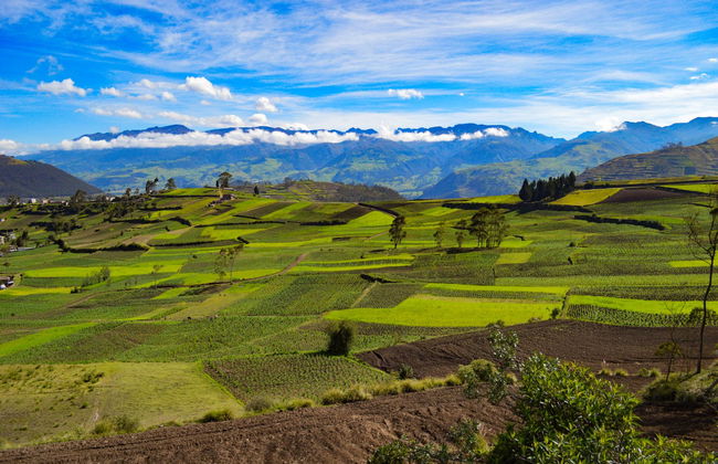 Atillo Lagons Day Trip - Foto 4