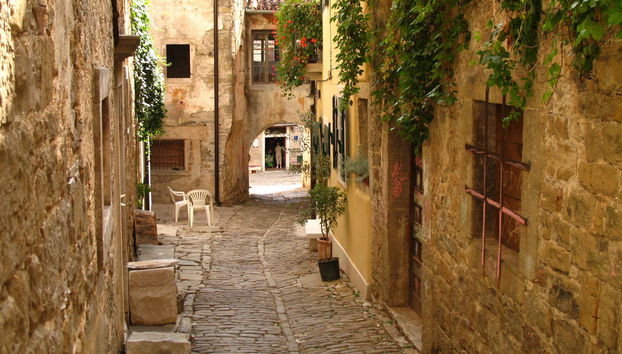 Istria Food Tour - Photo 3