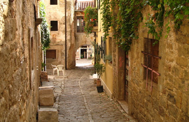 Istria Food Tour - Photo 3