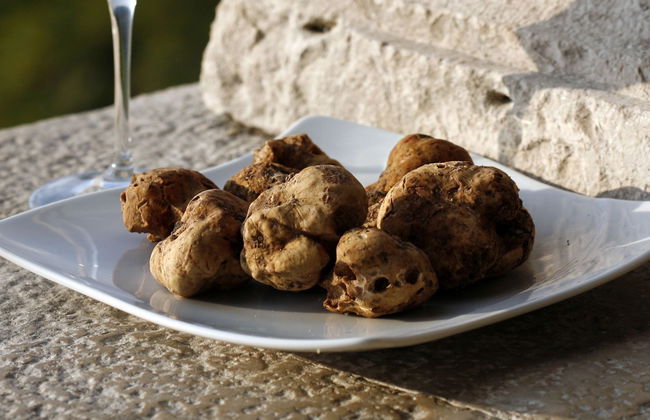 Istria Food Tour - Foto 4