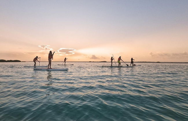 Paddle surf en la laguna Bacalar al amanecer - Foto 6