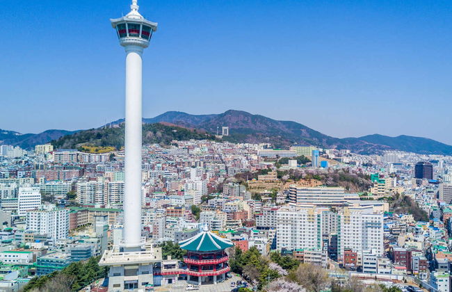 Tour privato di Busan - Foto 4