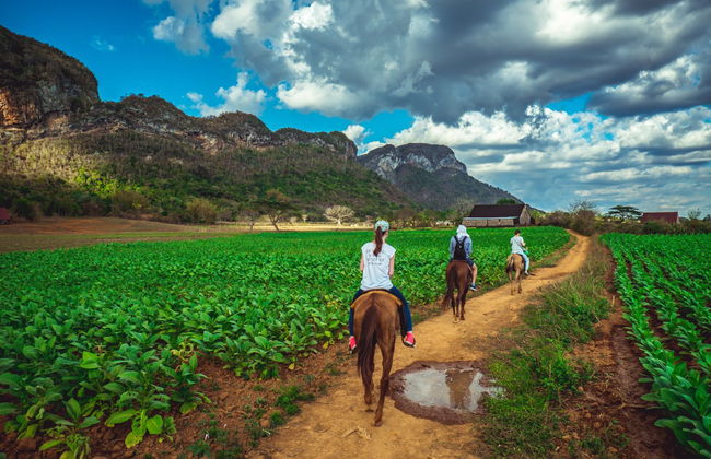 Viñales Horse Riding Tour - Foto 2