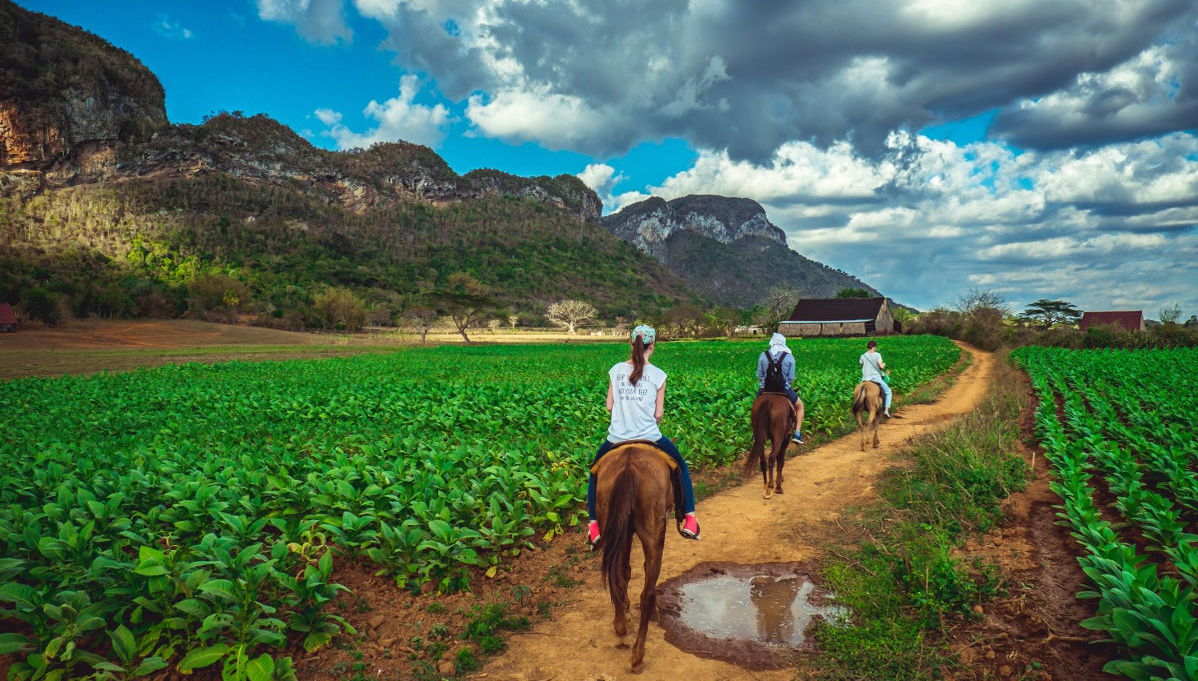 Viñales Horse Riding Tour - Photo 1