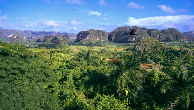 Tour por el Valle de Viñales - Foto 2