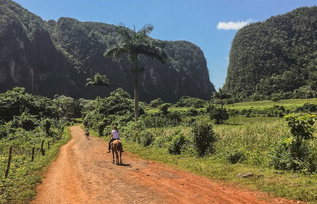 Viñales Horse Riding Tour - Foto 1