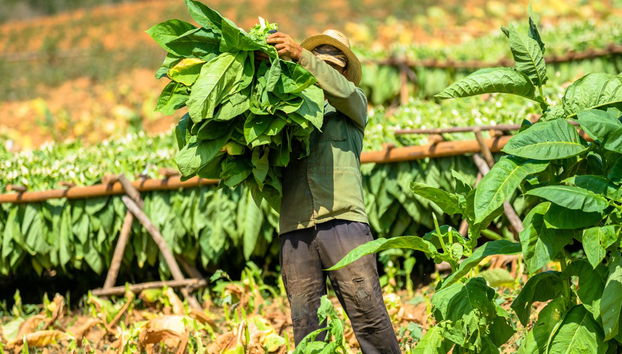 Tour a caballo por el Valle del Silencio - Foto 3