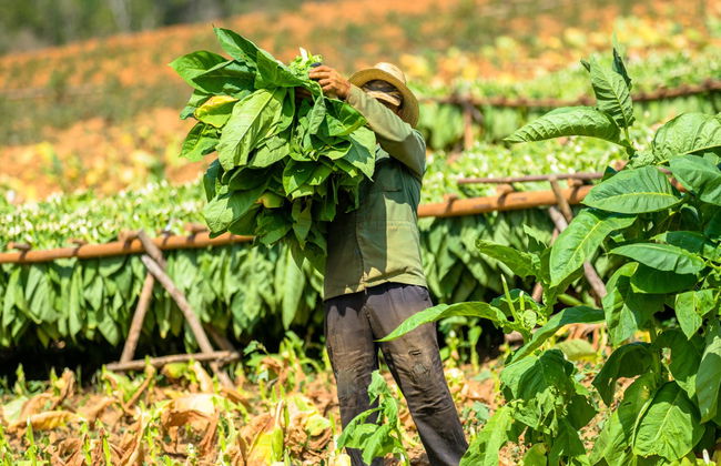 Senderismo al atardecer por el Valle del Silencio - Foto 3