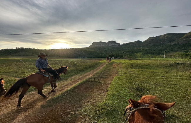 Viñales Horse Riding Tour - Foto 2