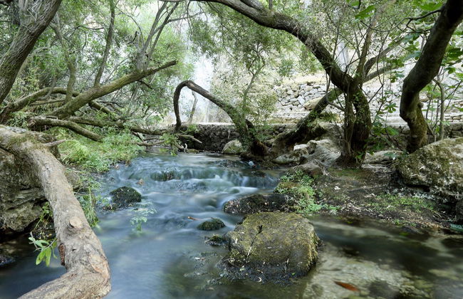 Tour della Barbagia in 4x4 - Foto 3