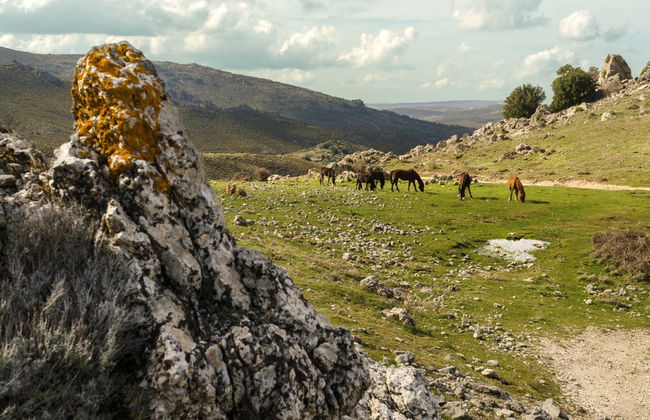 Tour della Barbagia in 4x4 - Foto 1