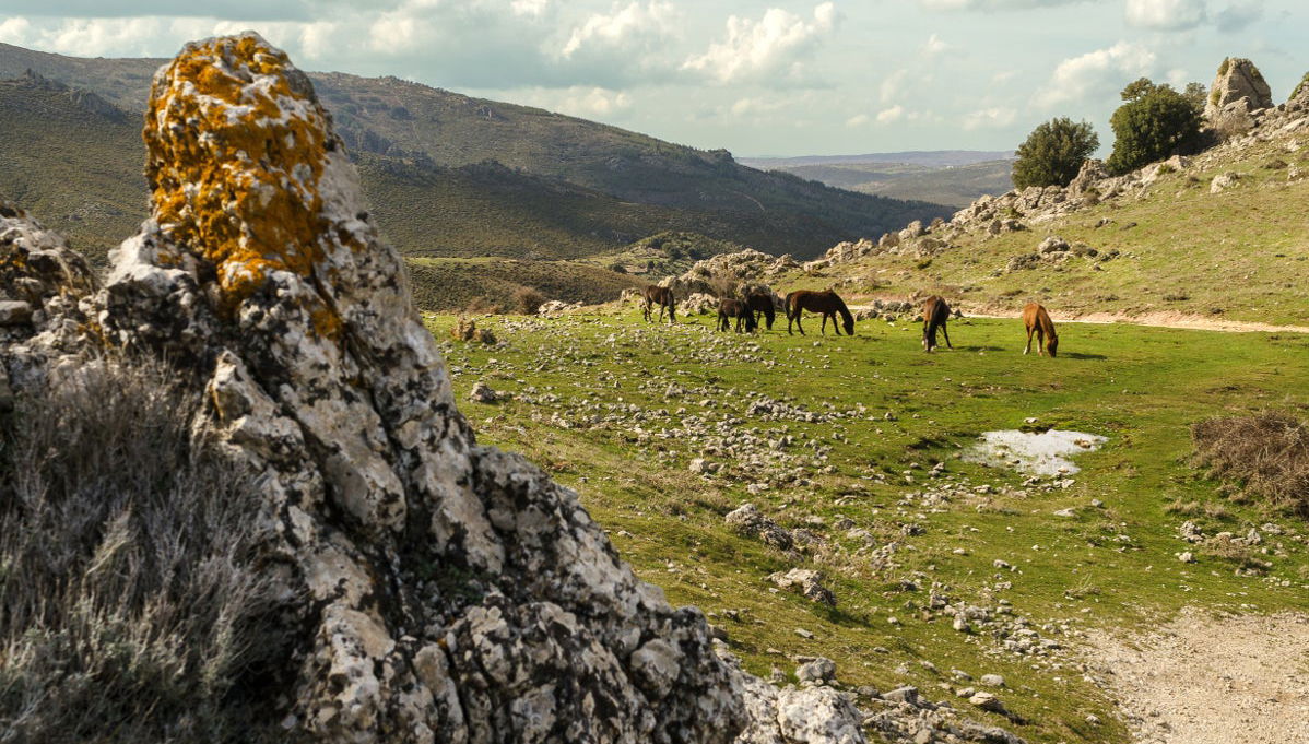 Barbagia 4x4 Tour - Foto 1
