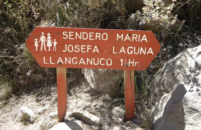 Excursión al Parque Nacional Huascarán + Laguna Chinancocha - Foto 2