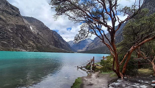 Excursión al Parque Nacional Huascarán + Laguna Chinancocha - Foto 3