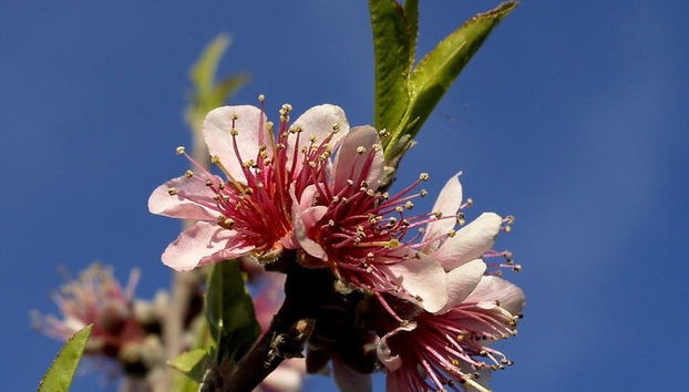 Visite à la découverte de la pêche à Cieza - Photo 4
