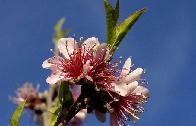 Visite à la découverte de la pêche à Cieza - Photo 4