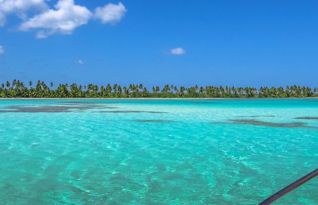 Tour por las playas de isla Saona - Foto 3