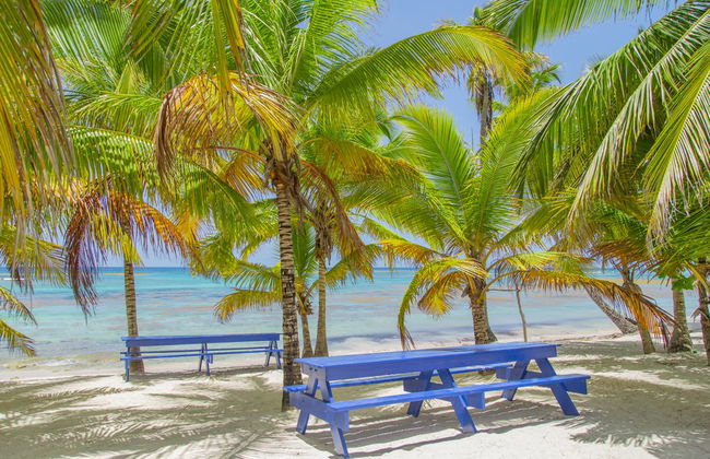 Tour por las playas de isla Saona - Foto 4