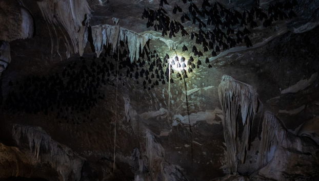 Excursion au Parc géoforestier Kilim Karst - Photo 3