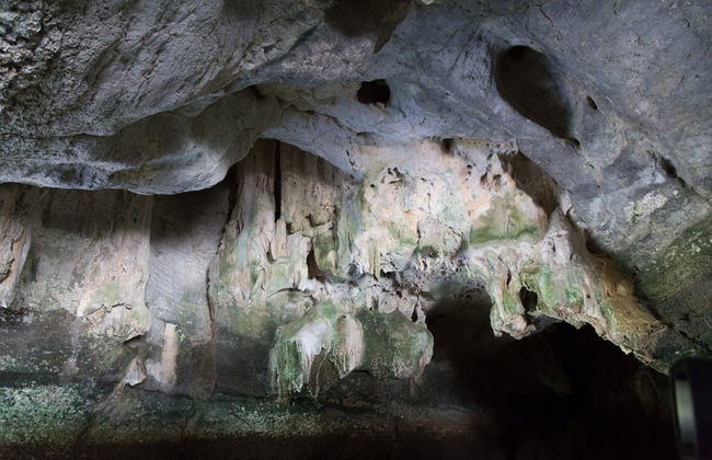 Excursion au Parc géoforestier Kilim Karst - Photo 6