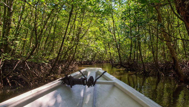 Excursion au Parc géoforestier Kilim Karst - Photo 2