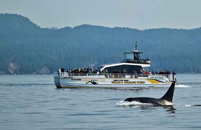 Paseo en barco por el estrecho de Juan de Fuca - Foto 2