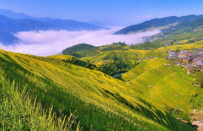 Rice Terraces Private Tour - Photo 1