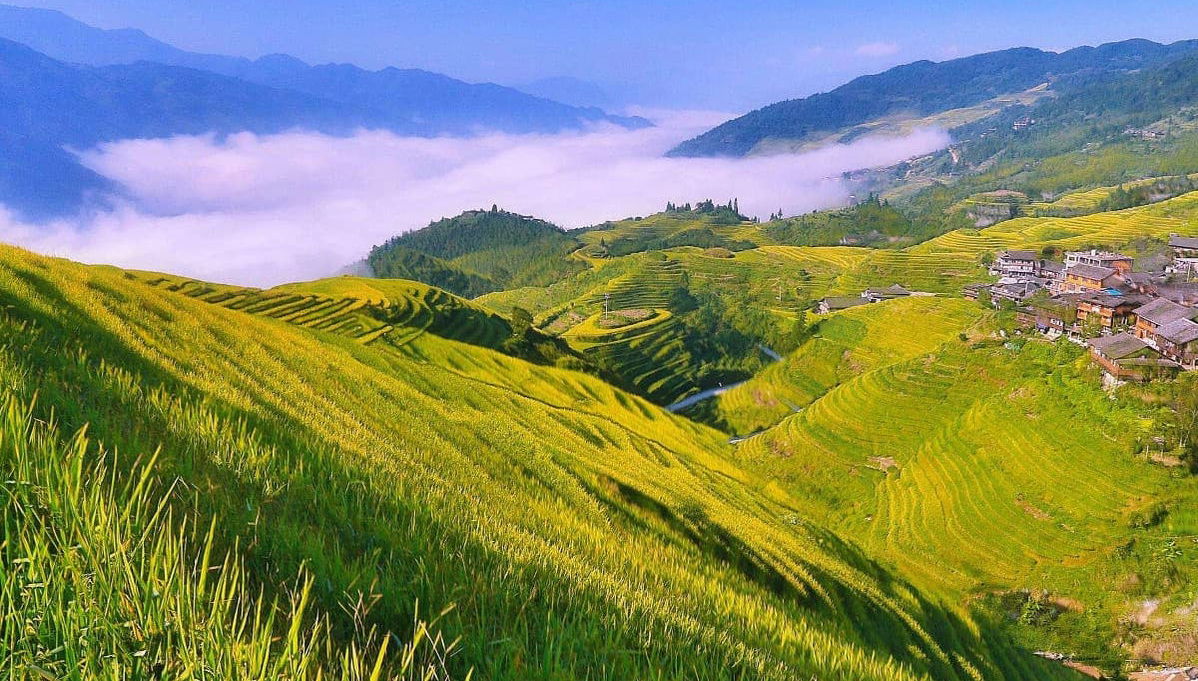 Rice Terraces Private Tour - Photo 1