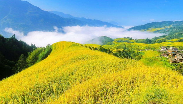 Rice Terraces Private Tour - Photo 2