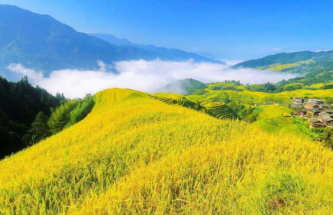 Rice Terraces Private Tour - Photo 2